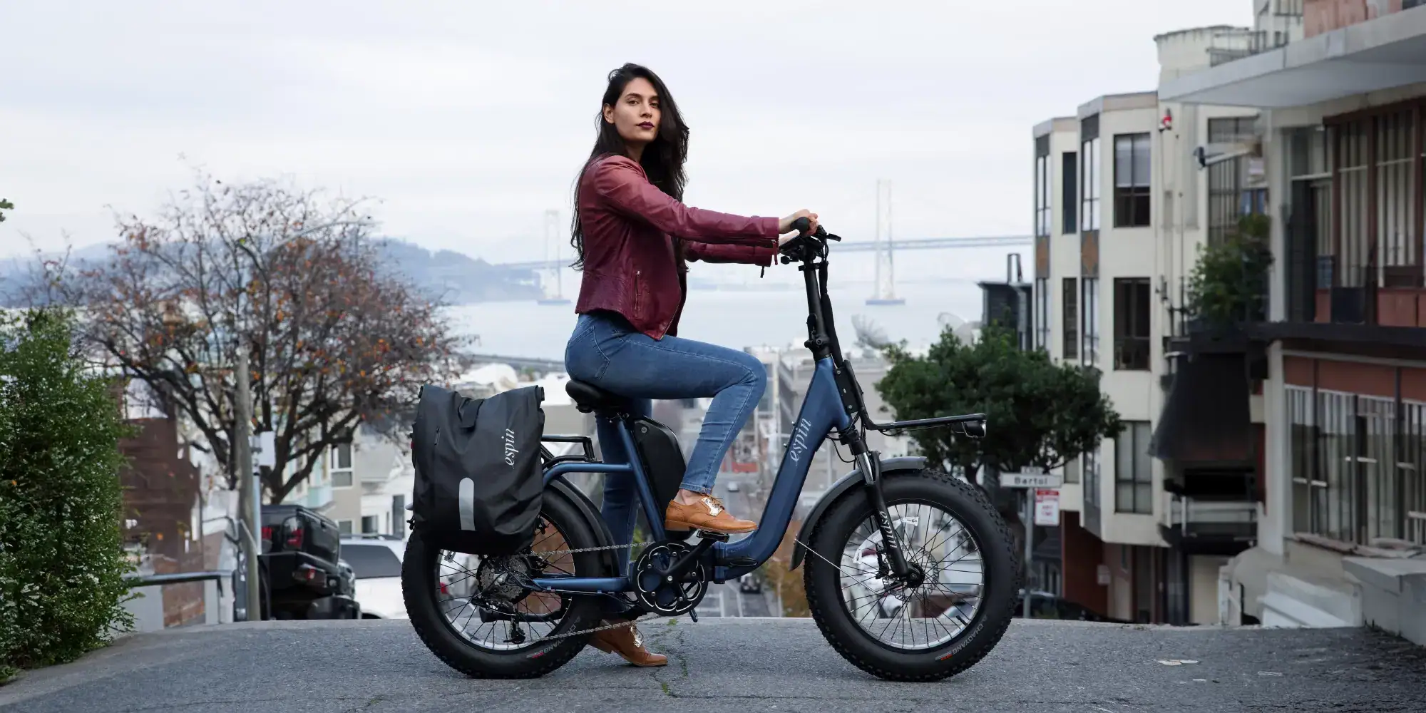 Finding the Perfect eBike