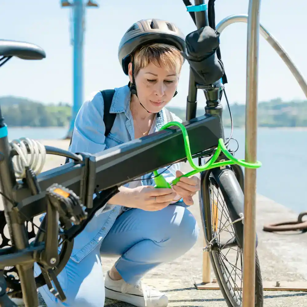 ebike locks