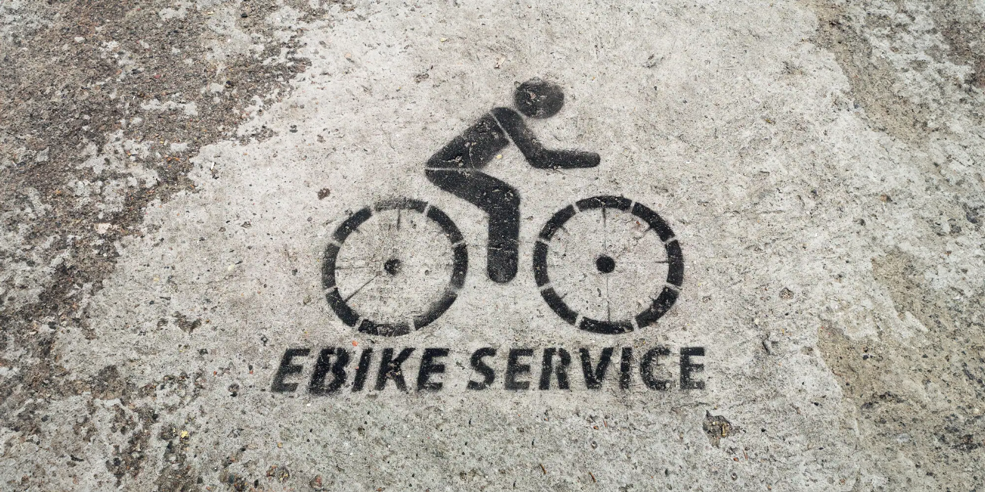 ebike service