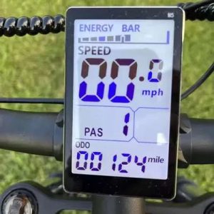 Ridstar LCD Display