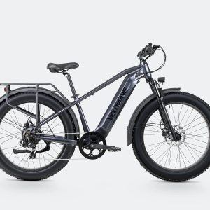 Ranger 3.0 Fat Tire All-Terrain Electric Bike