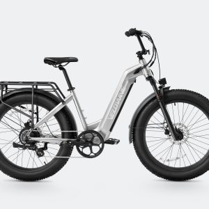 Ranger Step-Thru 2.0 Electric Bike