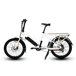 Eunorau Max-Cargo eBike