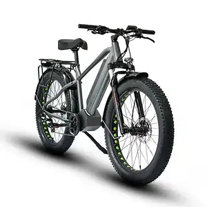 Eunorau Fat-HD/Hunter-X7 Fat Tire eBike