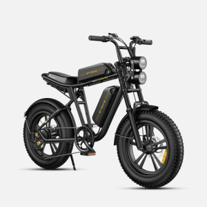 ENGWE M20