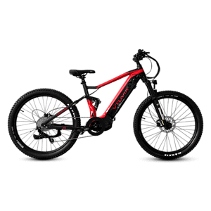 FMB Ebike