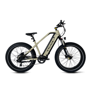 Gemini Ebike