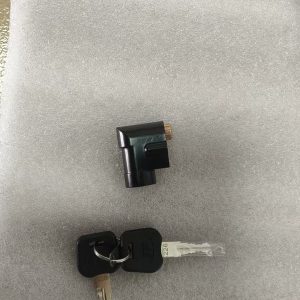 Ridstar Battery cover and key pair